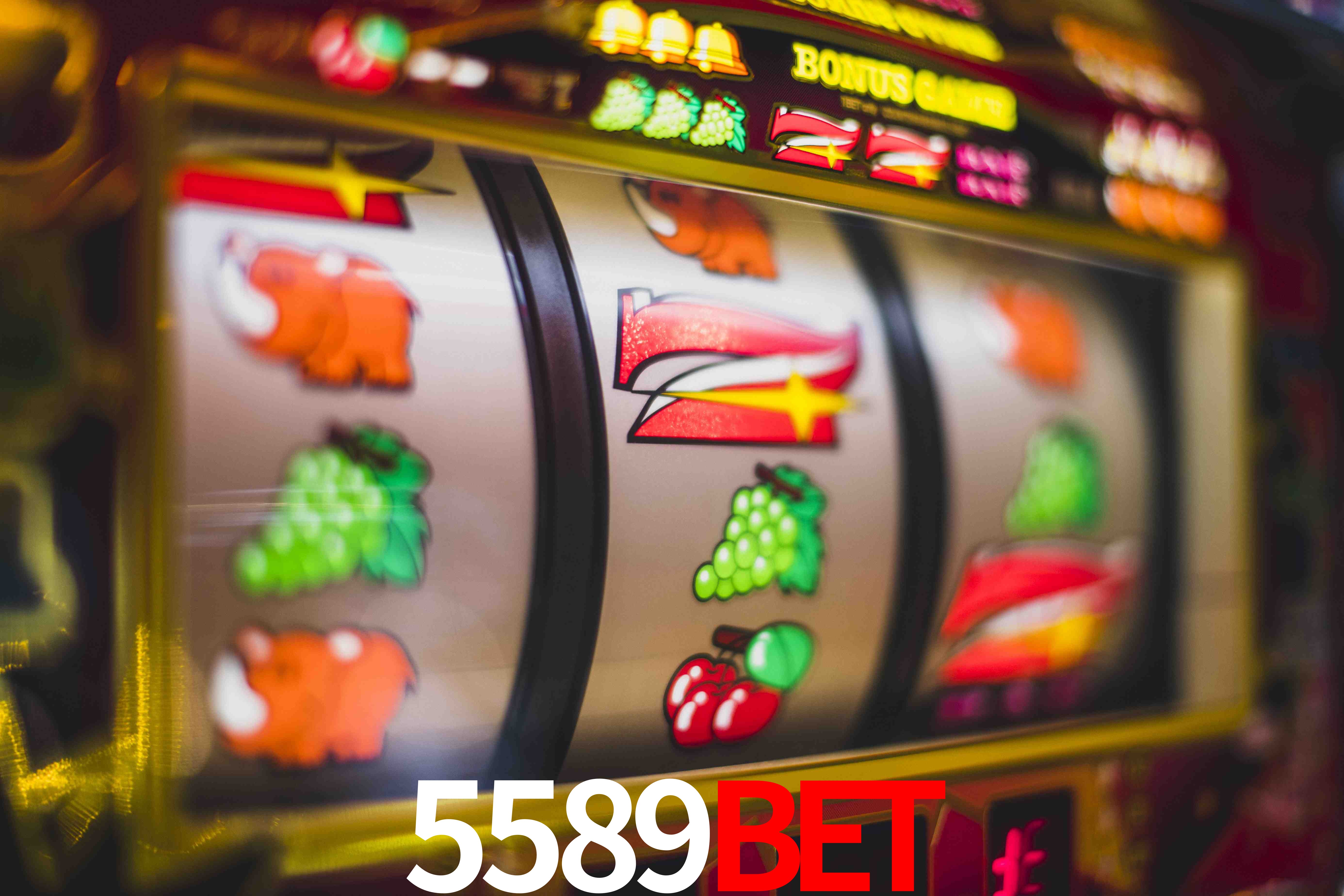Basketball Betting 5589bet
